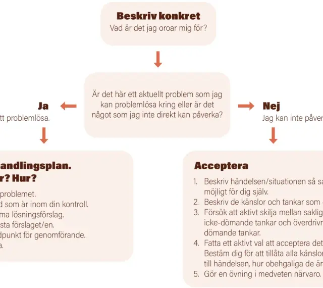 Flödesschema för att hantera ny på jobbet ångest. Beskriver hur man identifierar om ett problem kan lösas eller måste accepteras.